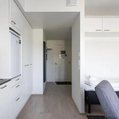 Hiisi Homes Masala Seppae * 컬커뉴미