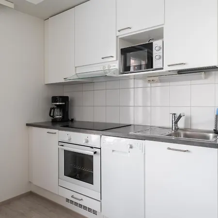 Hiisi Homes Masala Seppae * 컬커뉴미