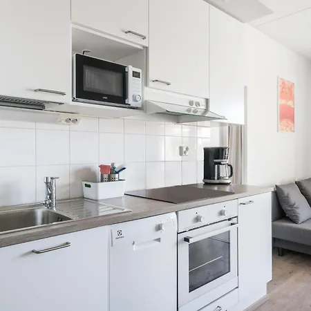 Hiisi Homes Masala Seppae 基尔科努米