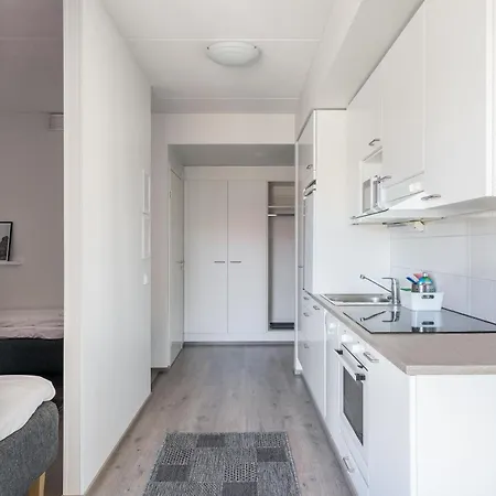 Hiisi Homes Masala Seppae Kirkkonummi
