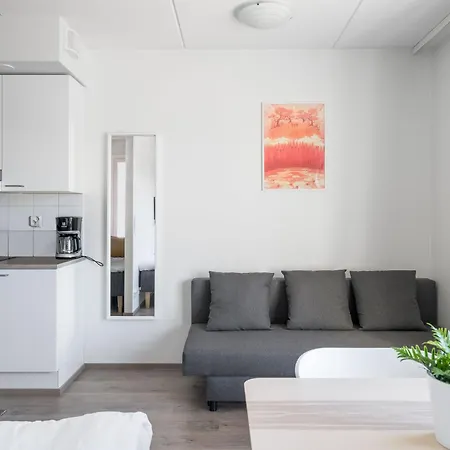 Hiisi Homes Masala Seppae